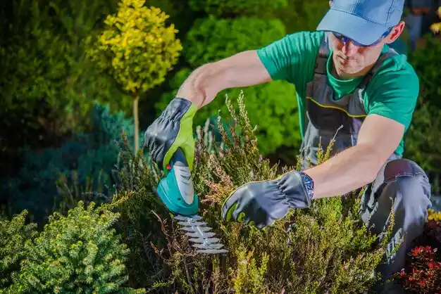 landscaping services Martin
